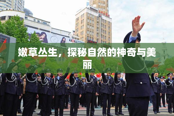 嫩草丛生，探秘自然的神奇与美丽