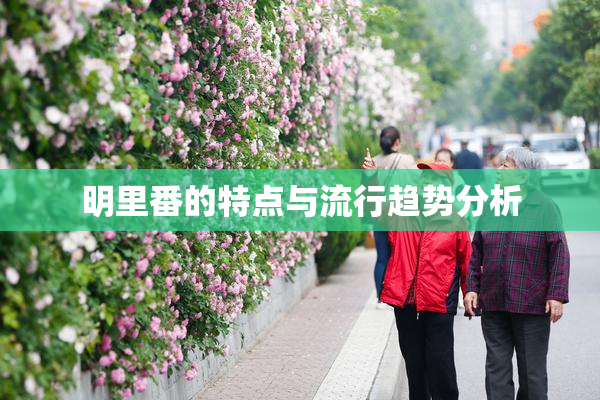 明里番的特点与流行趋势分析