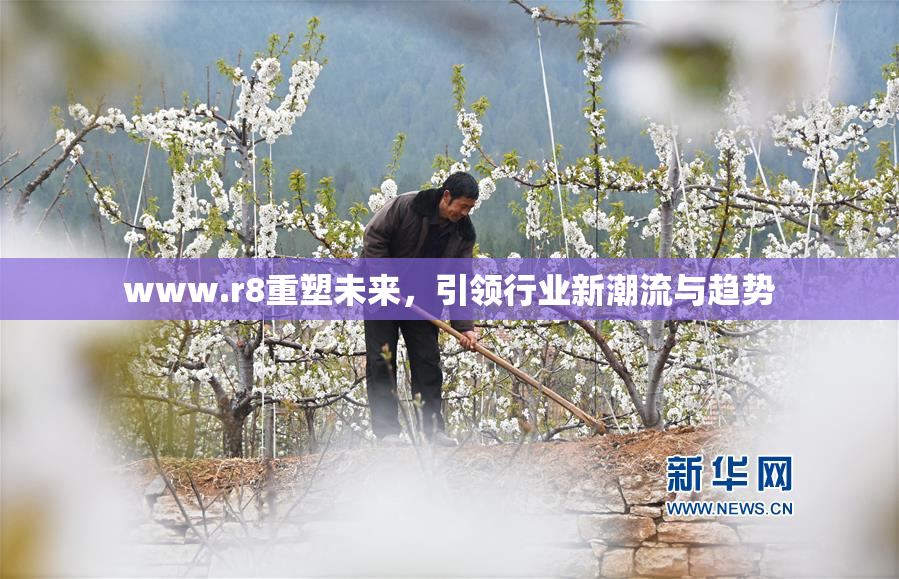 www.r8重塑未来，引领行业新潮流与趋势