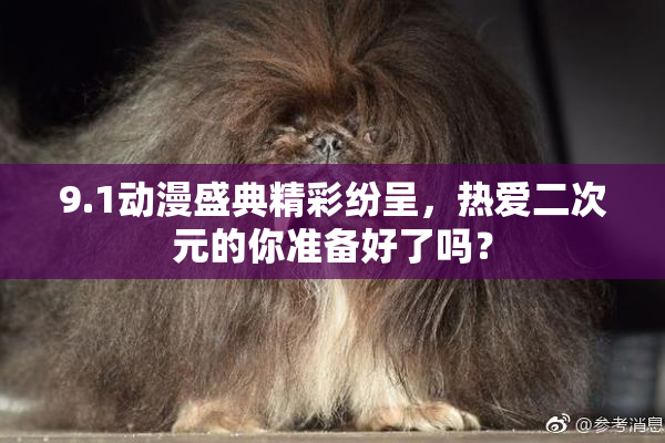 9.1动漫盛典精彩纷呈，热爱二次元的你准备好了吗？