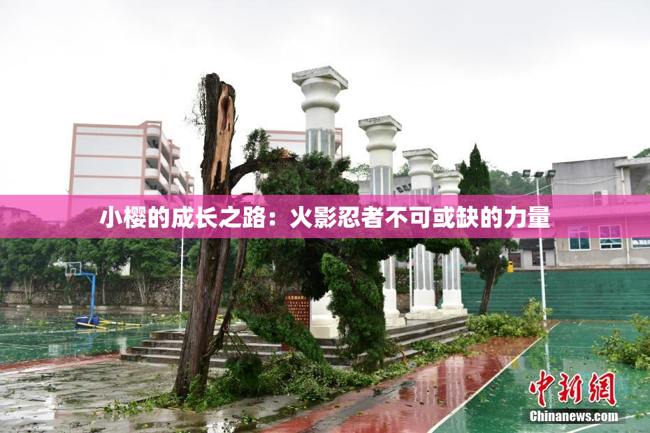 小樱的成长之路：火影忍者不可或缺的力量