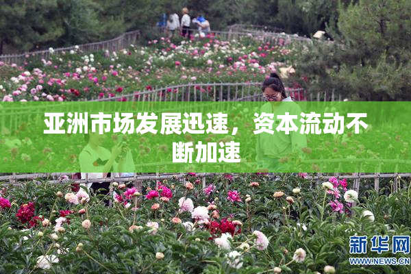 亚洲市场发展迅速，资本流动不断加速