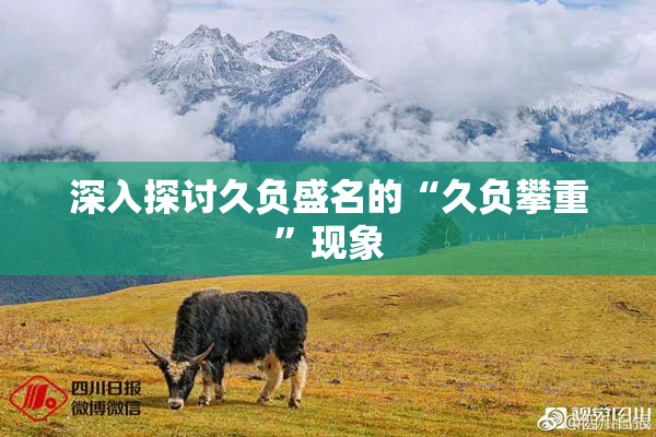 深入探讨久负盛名的“久负攀重”现象