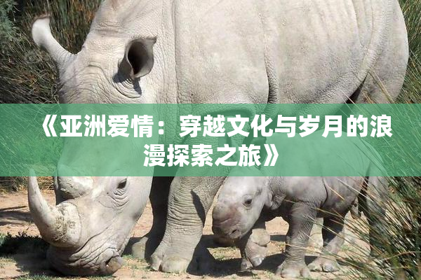 《亚洲爱情：穿越文化与岁月的浪漫探索之旅》