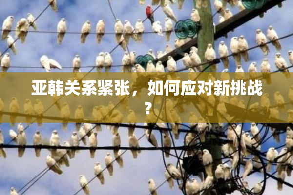 亚韩关系紧张，如何应对新挑战？