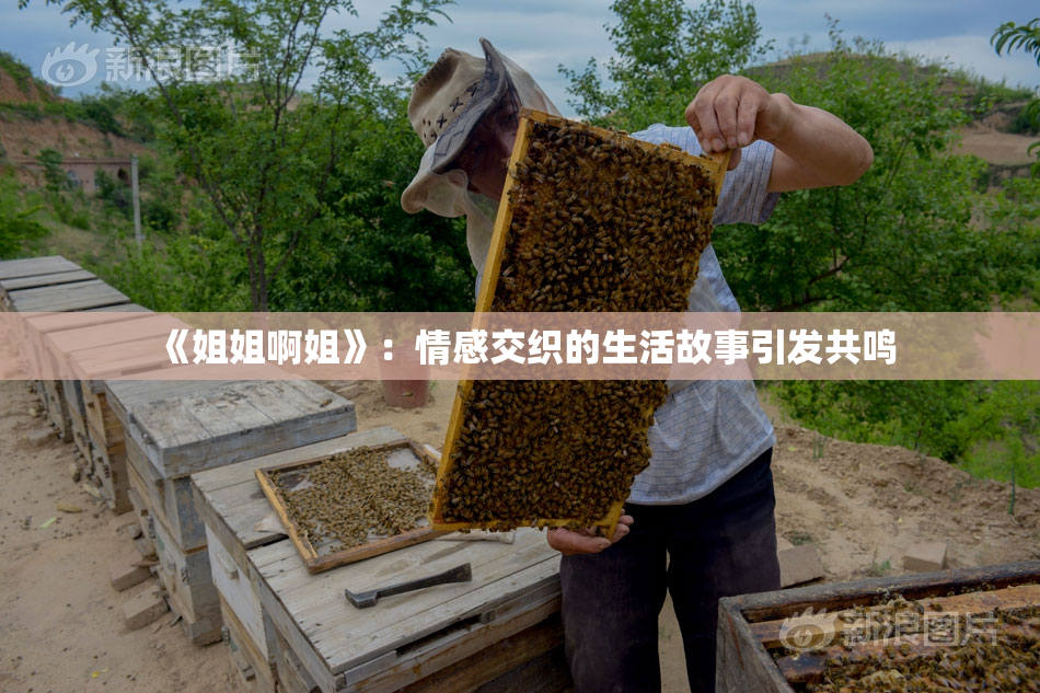 《姐姐啊姐》：情感交织的生活故事引发共鸣