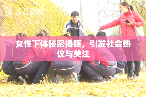 女性下体秘密揭晓，引发社会热议与关注