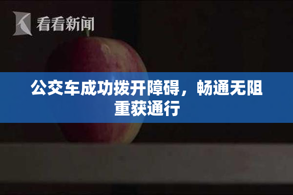 公交车成功拨开障碍，畅通无阻重获通行