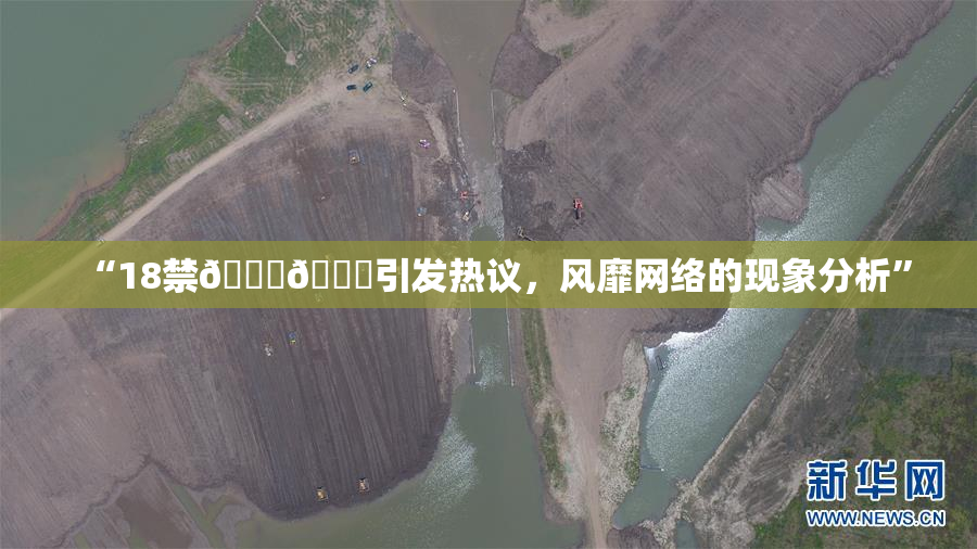 “18禁🍆🍑引发热议，风靡网络的现象分析”