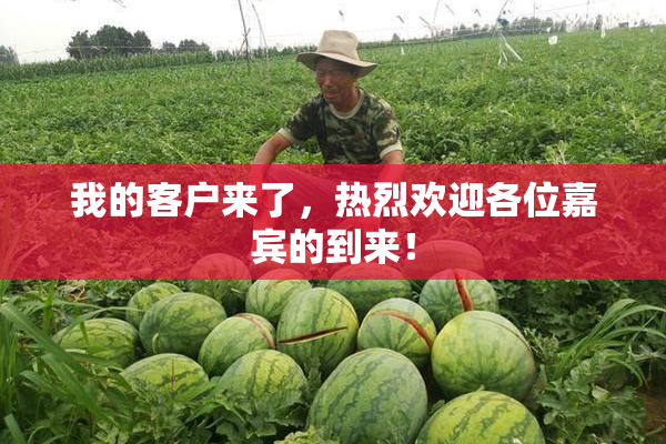 我的客户来了，热烈欢迎各位嘉宾的到来！