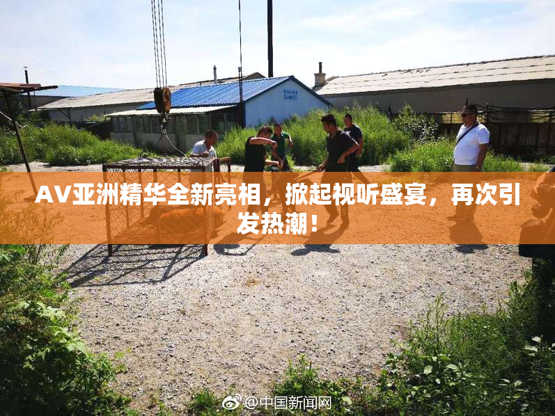 AV亚洲精华全新亮相，掀起视听盛宴，再次引发热潮！