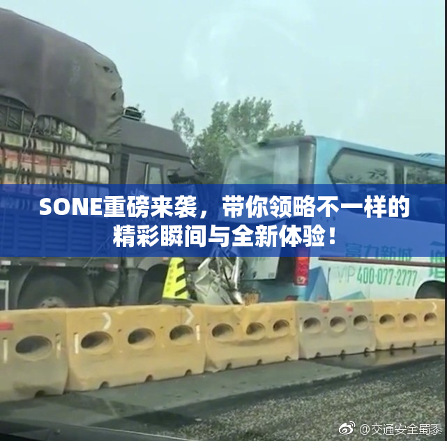 SONE重磅来袭，带你领略不一样的精彩瞬间与全新体验！