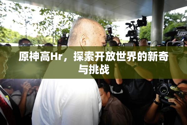 原神高Hr，探索开放世界的新奇与挑战