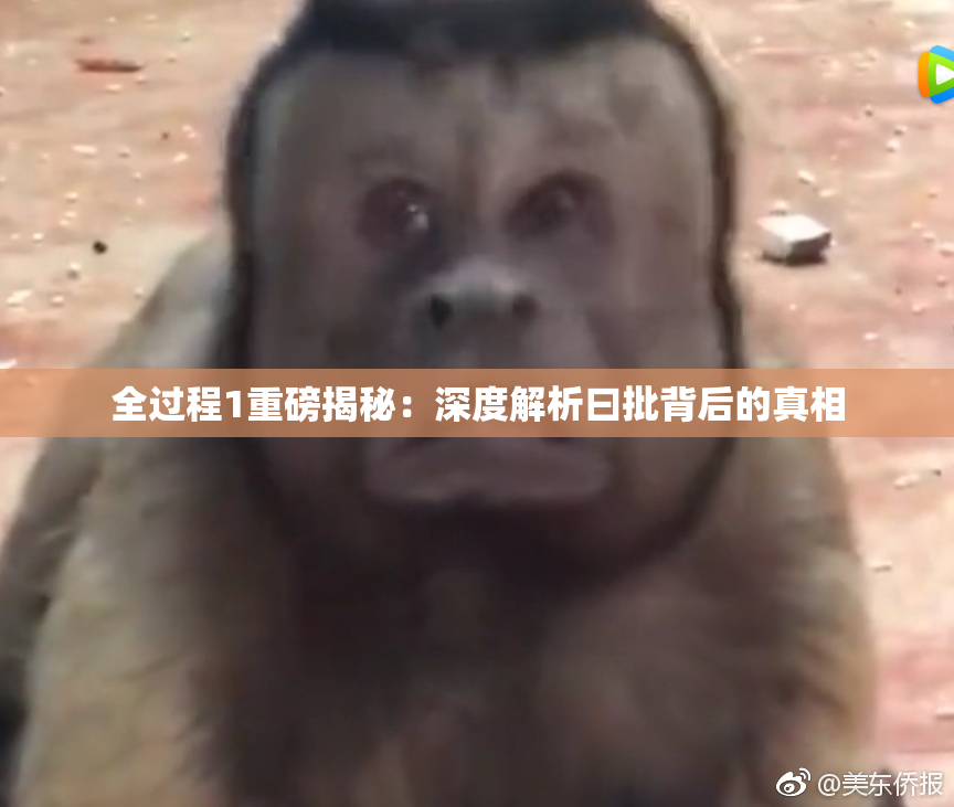 全过程1重磅揭秘：深度解析曰批背后的真相