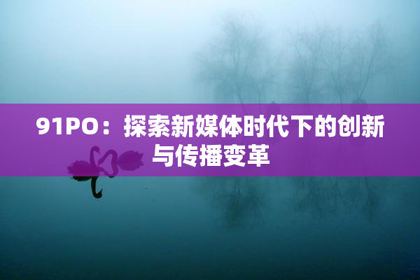 91PO：探索新媒体时代下的创新与传播变革