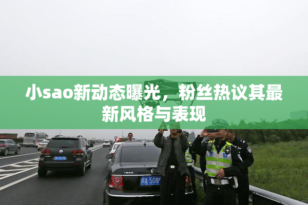 小sao新动态曝光，粉丝热议其最新风格与表现
