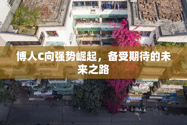 博人C向强势崛起，备受期待的未来之路