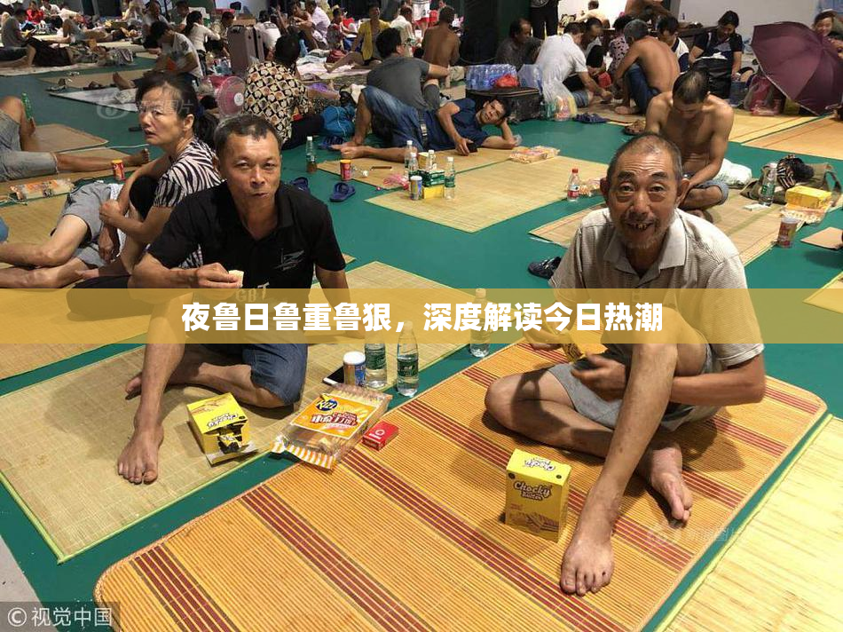 夜鲁日鲁重鲁狠，深度解读今日热潮