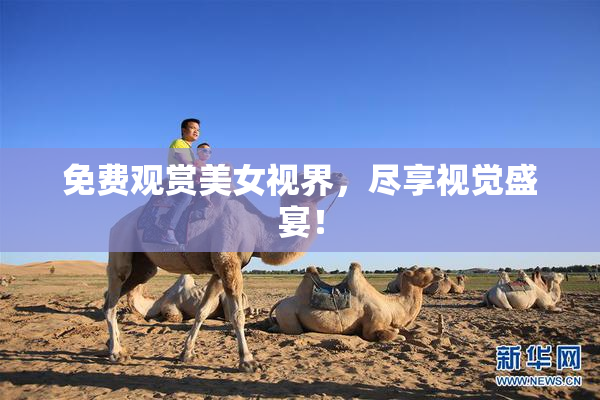 免费观赏美女视界，尽享视觉盛宴！