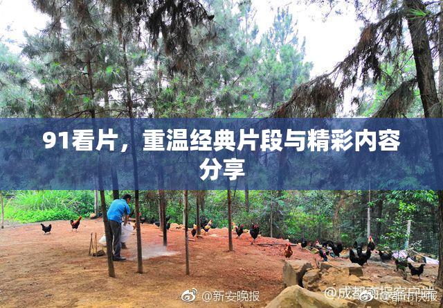 91看片，重温经典片段与精彩内容分享