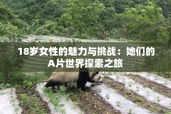 18岁女性的魅力与挑战：她们的A片世界探索之旅