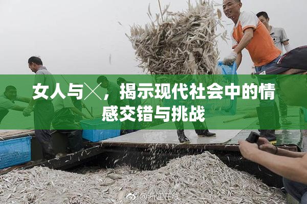女人与╳，揭示现代社会中的情感交错与挑战