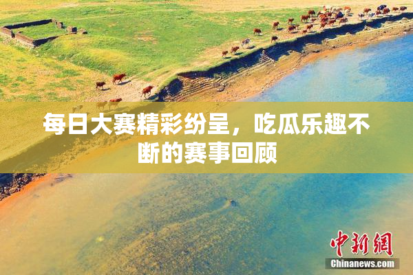 每日大赛精彩纷呈，吃瓜乐趣不断的赛事回顾