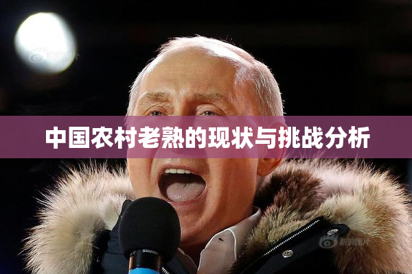 中国农村老熟的现状与挑战分析
