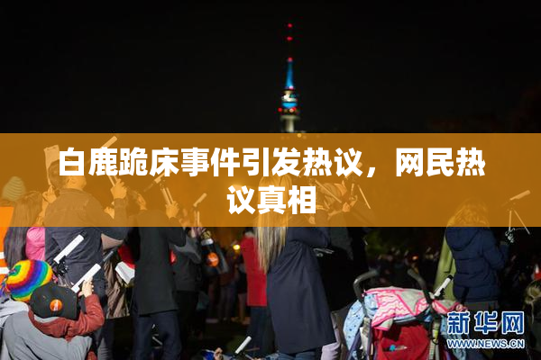 白鹿跪床事件引发热议，网民热议真相