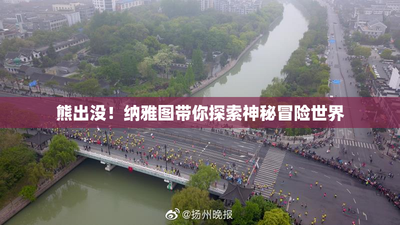 熊出没！纳雅图带你探索神秘冒险世界