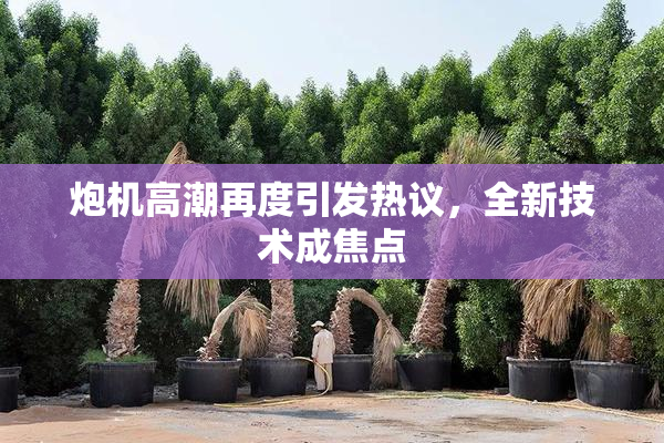 炮机高潮再度引发热议，全新技术成焦点