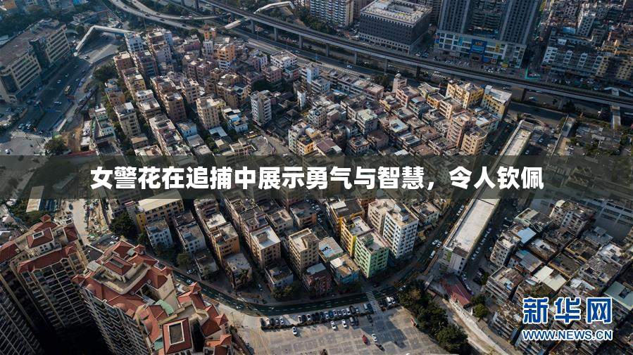 女警花在追捕中展示勇气与智慧，令人钦佩
