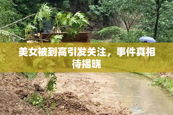 美女被到高引发关注，事件真相待揭晓