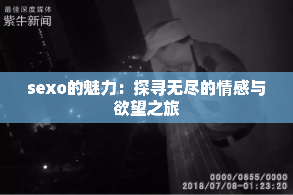 sexo的魅力：探寻无尽的情感与欲望之旅