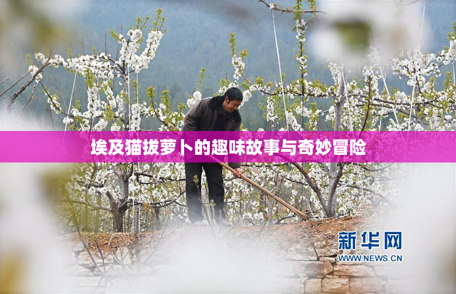 埃及猫拔萝卜的趣味故事与奇妙冒险