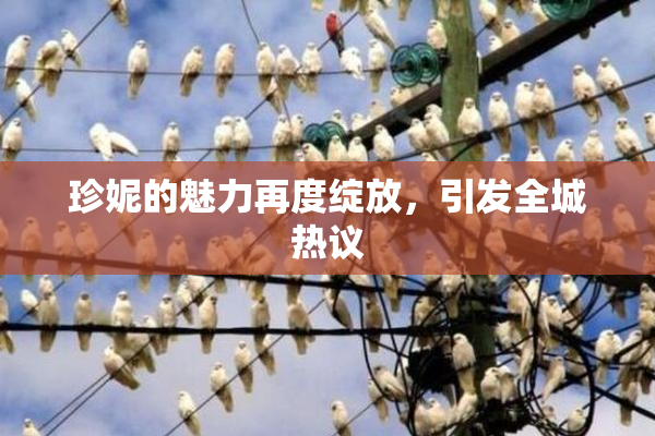 珍妮的魅力再度绽放，引发全城热议
