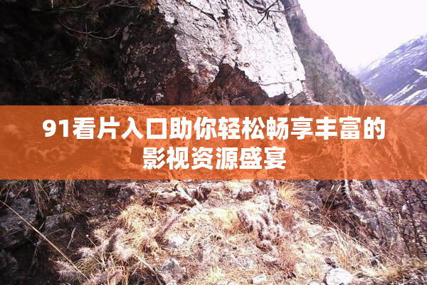 91看片入口助你轻松畅享丰富的影视资源盛宴