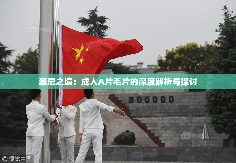 禁忌之境：成人A片毛片的深度解析与探讨