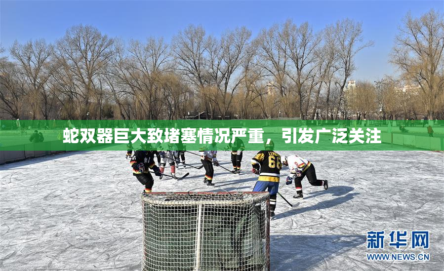 蛇双器巨大致堵塞情况严重，引发广泛关注