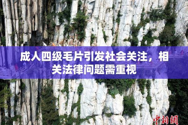 成人四级毛片引发社会关注，相关法律问题需重视