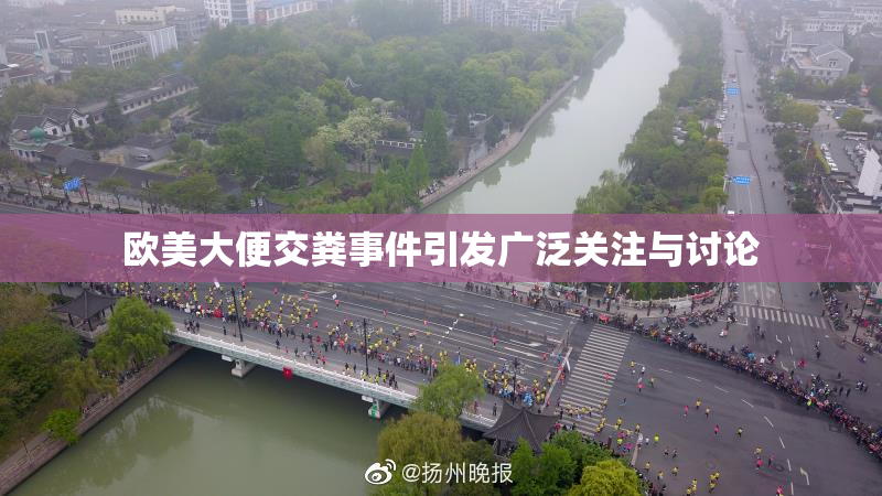 欧美大便交粪事件引发广泛关注与讨论