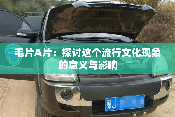 毛片A片：探讨这个流行文化现象的意义与影响