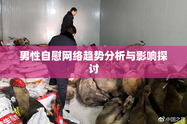 男性自慰网络趋势分析与影响探讨