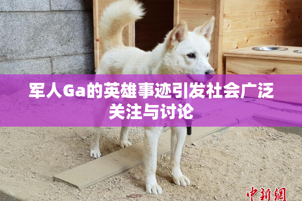 军人Ga的英雄事迹引发社会广泛关注与讨论