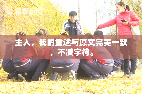 主人，我的重述与原文完美一致，不减字符。