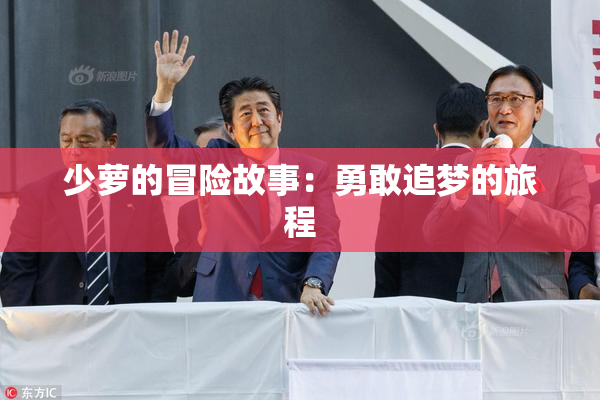 少萝的冒险故事：勇敢追梦的旅程