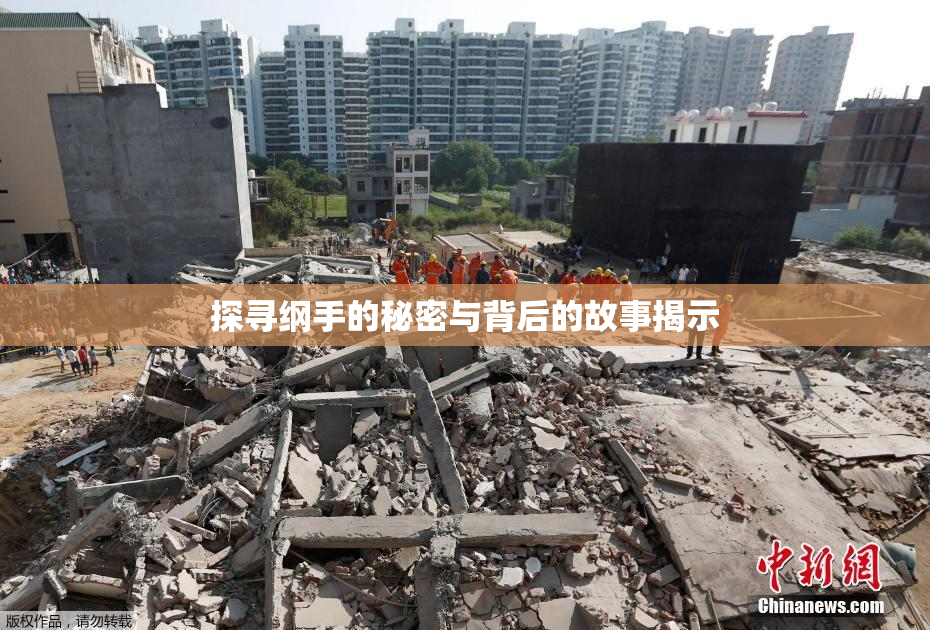探寻纲手的秘密与背后的故事揭示