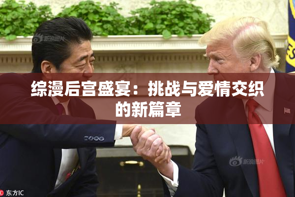综漫后宫盛宴：挑战与爱情交织的新篇章