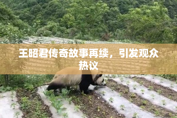 王昭君传奇故事再续，引发观众热议