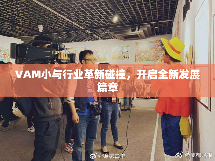 VAM小与行业革新碰撞，开启全新发展篇章
